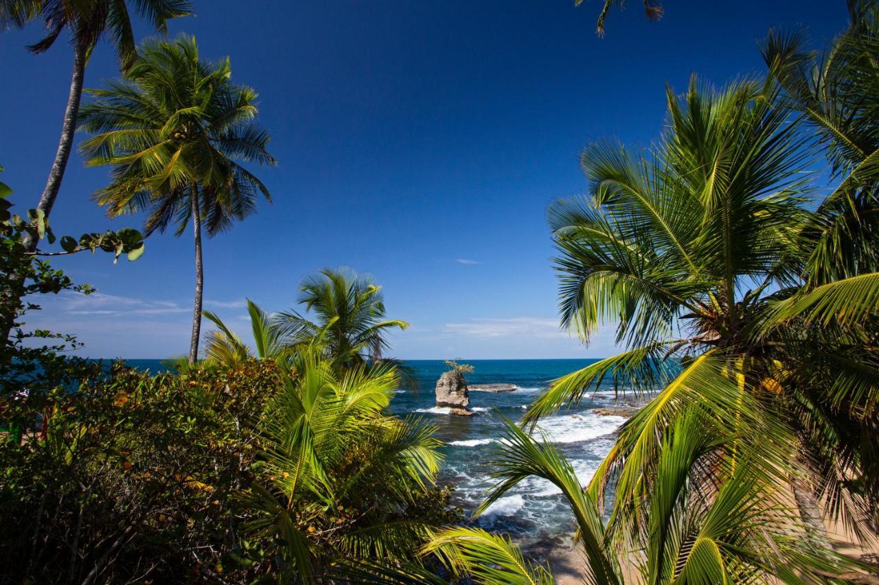 Manzanillo Caribbean Resort Puerto Viejo de Talamanca Eksteriør bilde