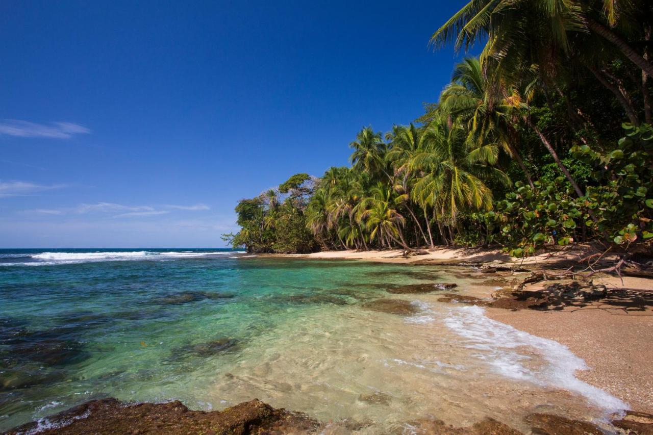 Manzanillo Caribbean Resort Puerto Viejo de Talamanca Eksteriør bilde
