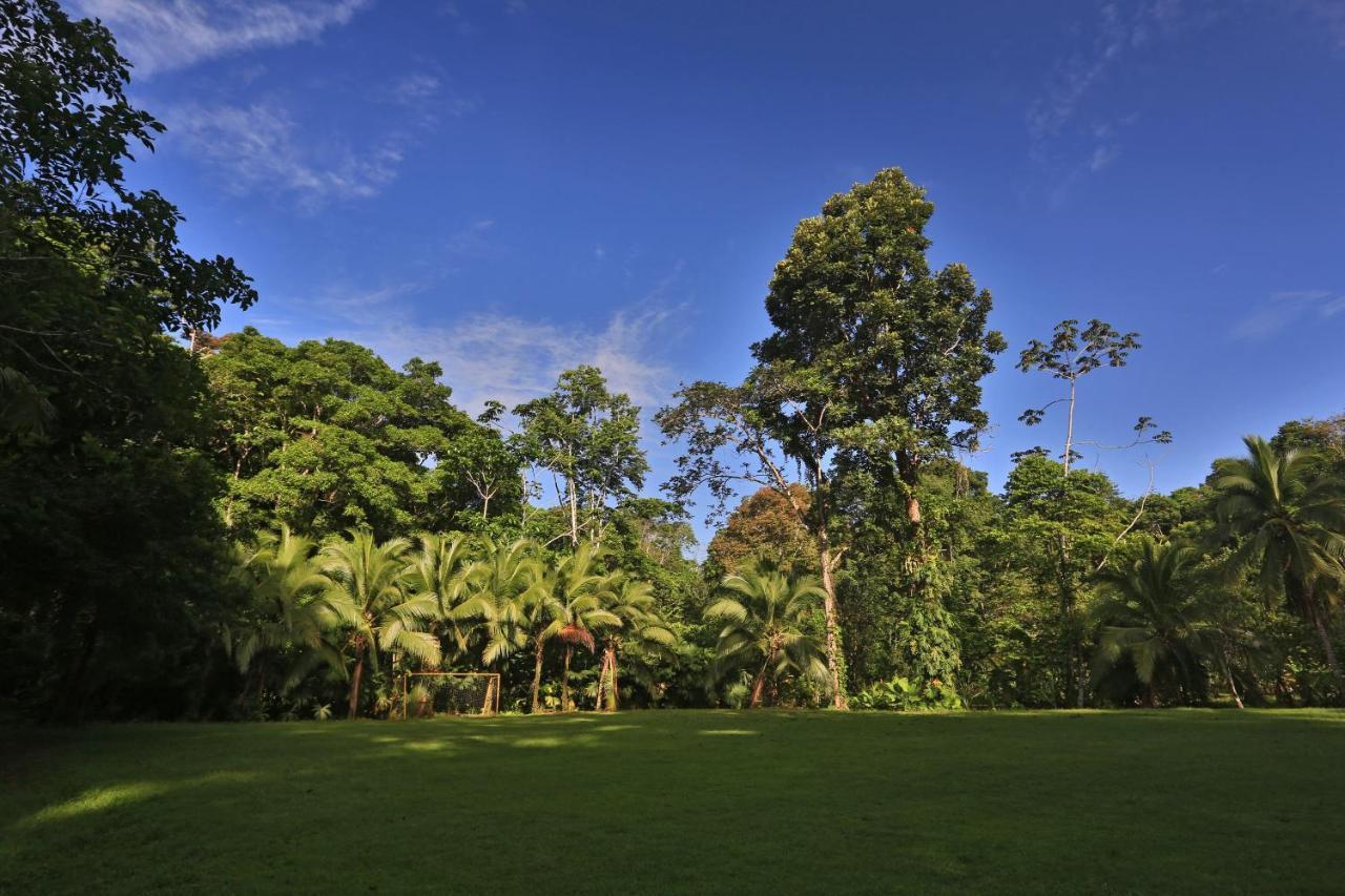 Manzanillo Caribbean Resort Puerto Viejo de Talamanca Eksteriør bilde